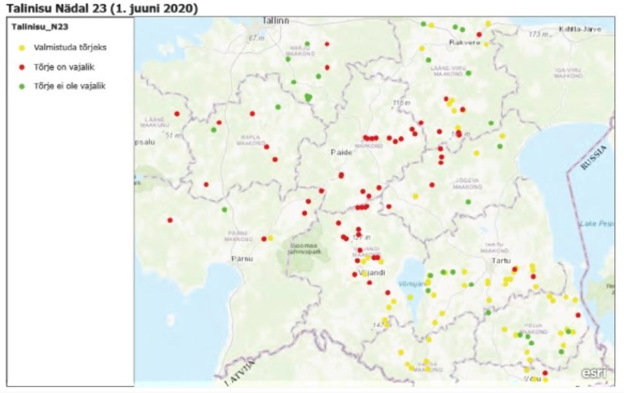 Enamlevinud taimehaigused Eestis. Talinisu kaart